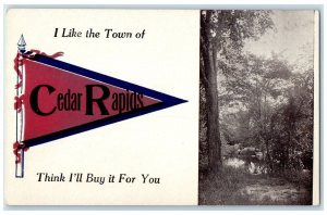 c1910's I Like The Town Of Cedar Rapids Iowa Think I'll Buy It For You Postcard