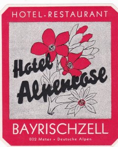 Germany Bayrisch Zell Hotel Alpenrose Vintage Luggage Label sk3272