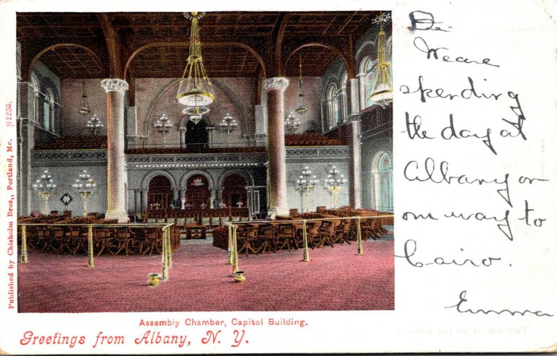 New York Greetings From Albany With Capitol Building Assembly Chamber 1904