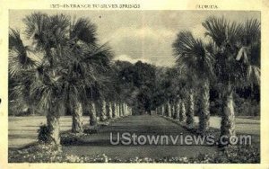 Silver Springs, Florida, FL,  