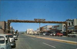 Afton Wyoming WY Antler Hunting Arch Yellowstone Park Vintage Postcard