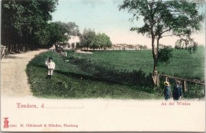 Tondern Denmark An der Wiedau Unused Gluckstadt Postcard F47