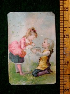 1870s-80s Cute Boy Giving Tray Of Flowers To Girl Victorian Card #2 F24