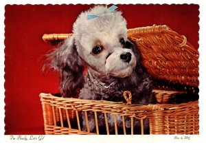 Puppy in a Basket,  I'm Ready Let's Go, Dog