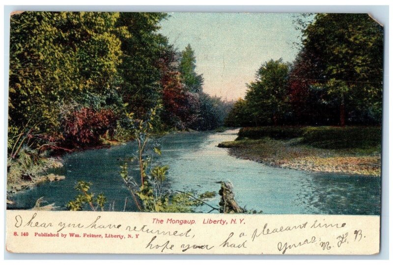 1906 The Mongaup River Scenic View Liberty New York NY Vintage Antique Postcard