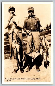 RPPC  Fish Caught at Pickwick Lake  Tennessee   Postcard