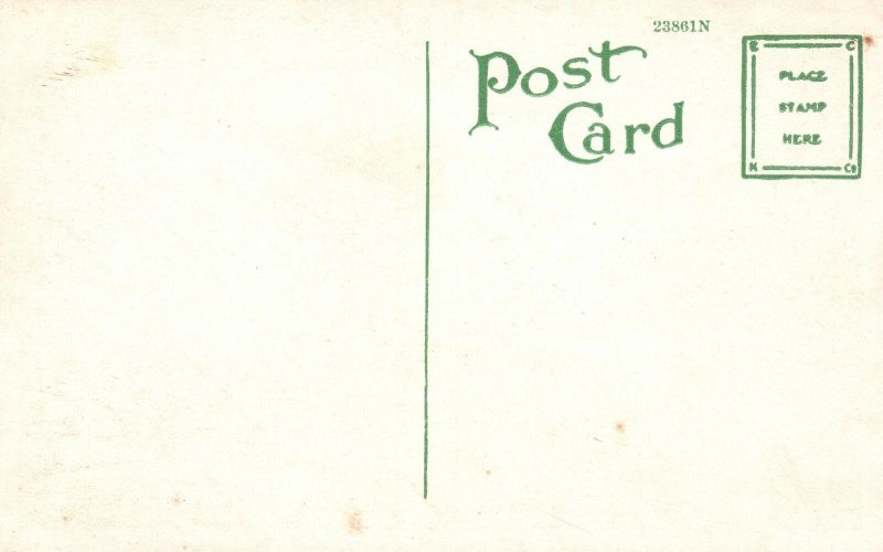 Vintage Postcard Palisades Bluff Driveway Path Near Los Angeles California CA