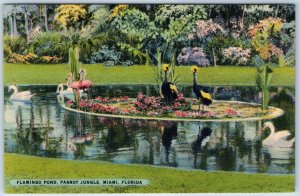 c1940s Miami Fla Parrot Jungle Flamingo Pond Birds Zoo Colorful Postcard FL A220