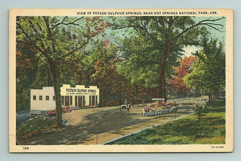 Potash Sulphur Springs, Horse Rider, Hot Springs, Arkansas Postcard