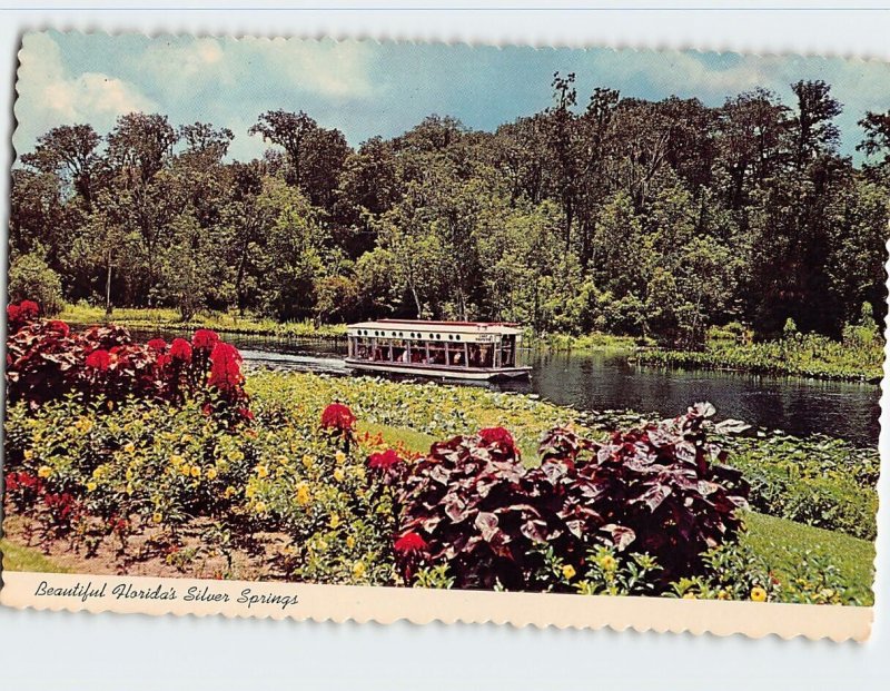 Postcard Beautiful Florida's Silver Springs, Florida