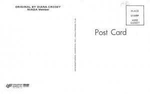 Original by Dianan Crosby Postcard