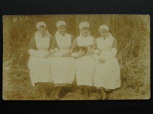 People Portrait FOUR NURSES & A CAT - Old RP Postcard