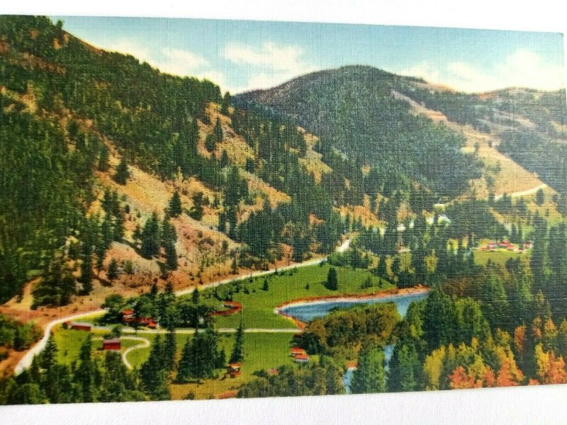 Vintage Postcard Red River Pass from Buffalo Trail Red River NM 