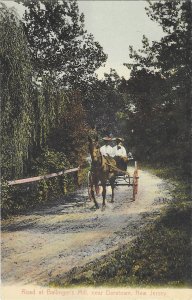 Horse and Buggy on Road at Ballingers Mill Near Daretown New Jersey