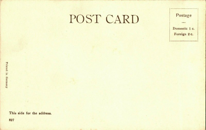 Vtg Carte Postale 1900s Udb Houston Texas Tx Chargement Barge De Coton Neuf Unp
