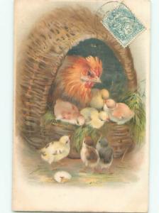 foreign c1910 Postcard CHICKEN WITH MANY BABY CHICKS AT EASTER AC2673