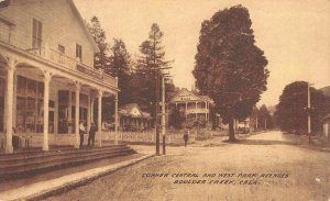 Central, Park Avenues BOULDER CREEK, CA Santa Cruz County 1910s Antique Postcard