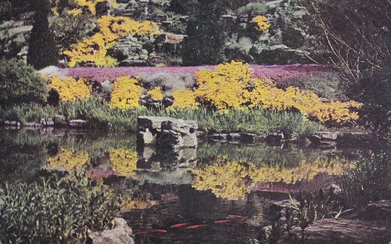 HAMILTON, Ontario, Canada, 40-60s; Goldfish Pool In The Rock Garden