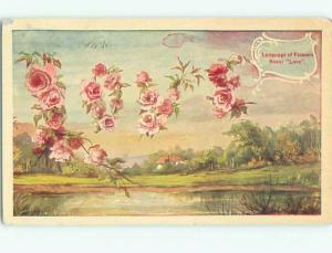 Divided-Back BEAUTIFUL FLOWERS SCENE Great Postcard AA2778