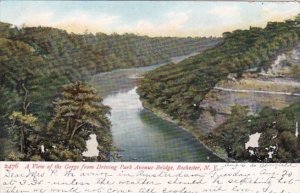 New York Rochester View Of The Gorge From Driving Park Avenue Bridge 1907