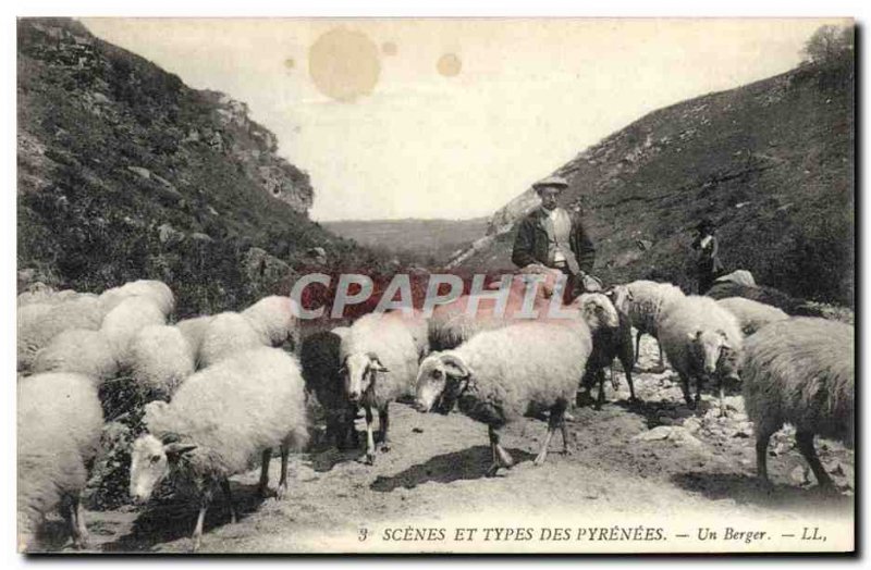 Old Postcard Folklore Pyrenees A Sheep Shepherd