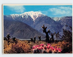 Postcard Rugged Snow-Capped San Jacinto Mountain California USA