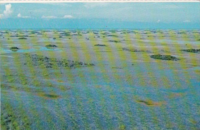 Florida Everglades National Park Flooded Glades