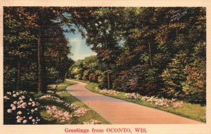 Vintage Postcard 1941 Pathway Roadway Trees Flowers Oconto Wisconsin Greetings