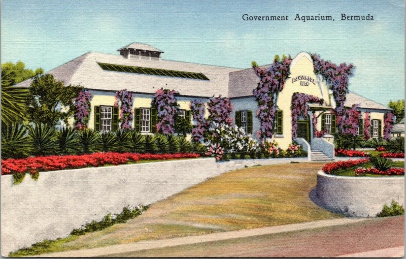 postcard Bermuda - Government Aquarium