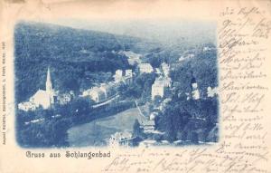 Schlangenbad Germany Scenic View Antique Postcard J46526