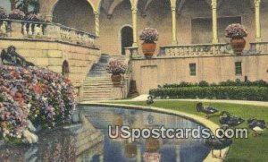 Black Swans, Ringling Art Museum - Sarasota, Florida FL