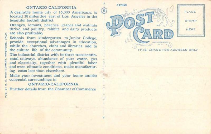 Ontario California Chaffey College Multiview Antique Postcard K94341