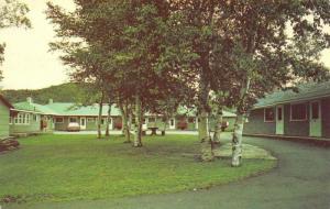 SCHREIBER, Ontario Canada  BIRCH GROVE MOTEL  Roadside  1970 Chrome Postcard