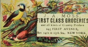 1880's J. A Moss First Class Groceries Country Produce Image Of Wild-Birds F83