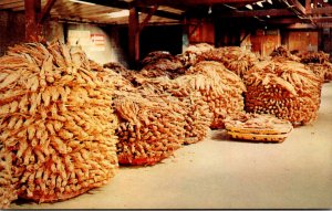 Tobacco Warehouse Showing Tobacco On Baskets Waiting For The Auctioneer