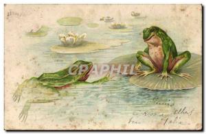 VINTAGE POSTCARD Frog Toad