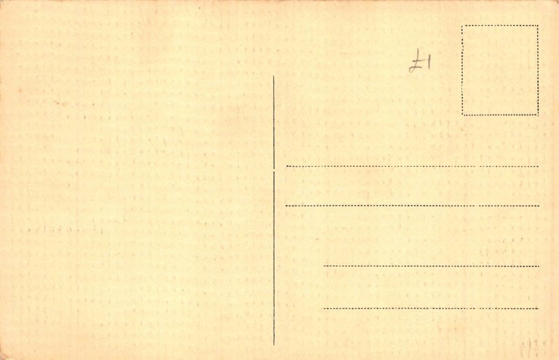 A962 Netherlands Rotterdam Schie en Schekade Tram vintage postcard