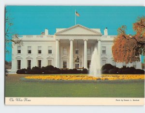 Postcard The White House, Washington, District of Columbia