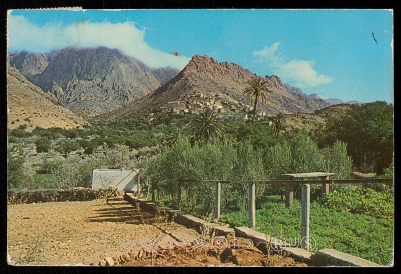 Sud Marocain - La vallee des Ammelns