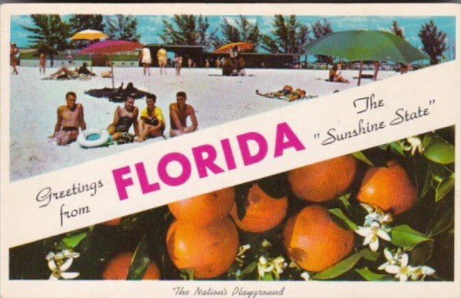Florida Greetings From Florida