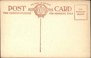 Dublin Ireland Castle & Chapel Royal c1910 Postcard