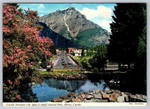 Alpine Gardens, Banff Avenue & Cascade Mountain Banff AB, Don Harmon Postcard #2