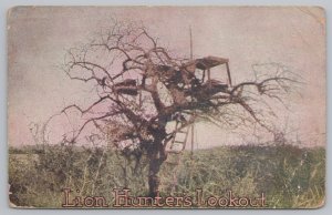President & Patriotic~Lion Hunter's Lookout~Africa~Vintage Postcard