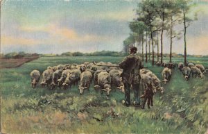 Stengel fine art postcard Antony Mauve - Morning pastoral scenic shepherd 