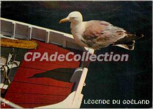 Postcard Modern Brittany in legend colors goeland