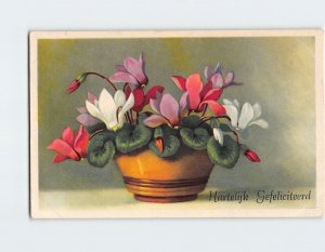 Postcard Flower Vase Congratulations Card