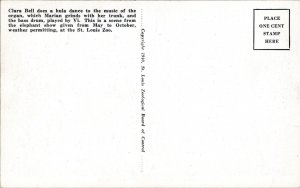 Postcard MO St. Louis Zoo - Elephant Training