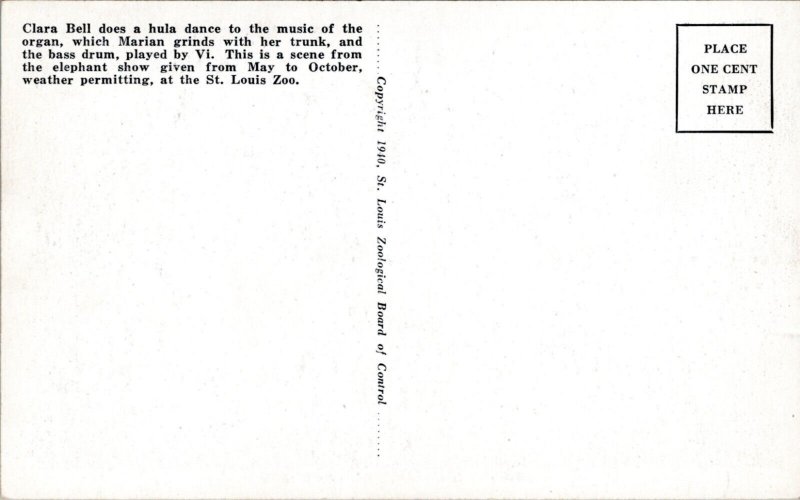 Postcard MO St. Louis Zoo - Elephant Training