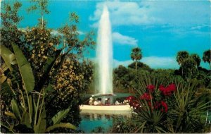 Amusement Watusi Geyser Africa USA Boca Raton postcard Teich FEC News 20-6102