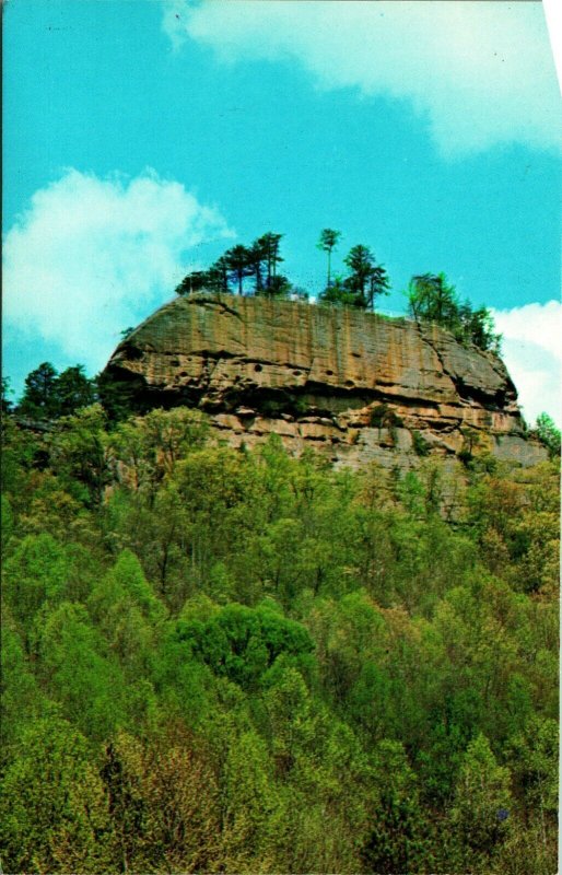 Raven Rock Red River Gorge Daniel Boone Forest Slade KY UNP Vtg Chrome Postcard 